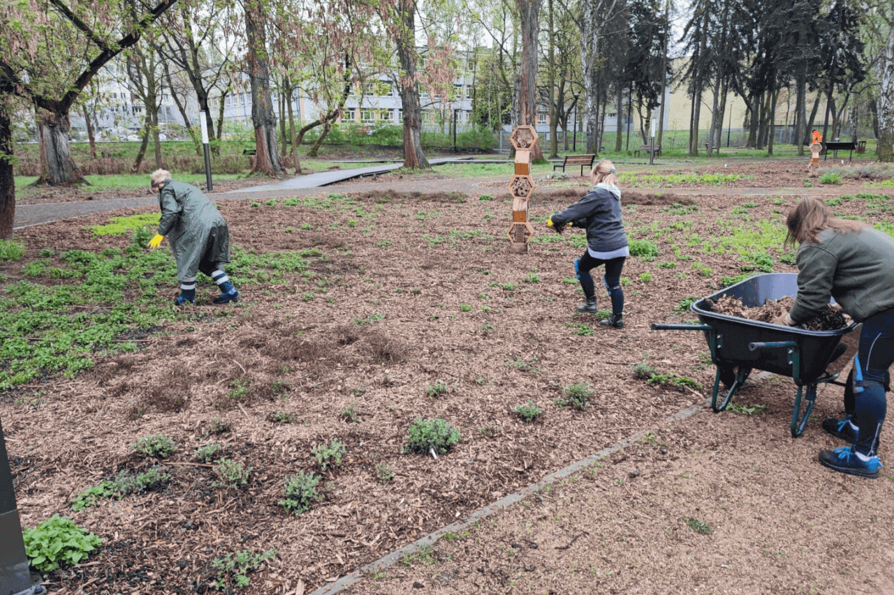 Park Bioróżnorodności przy Egzotarium