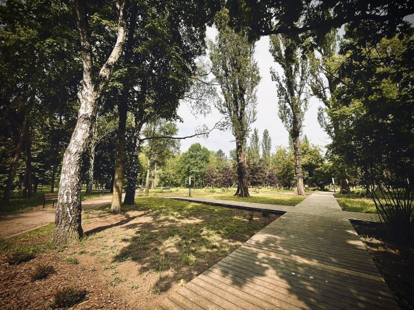 Park bioróżnorodności stał sie ogrodem botanicznym