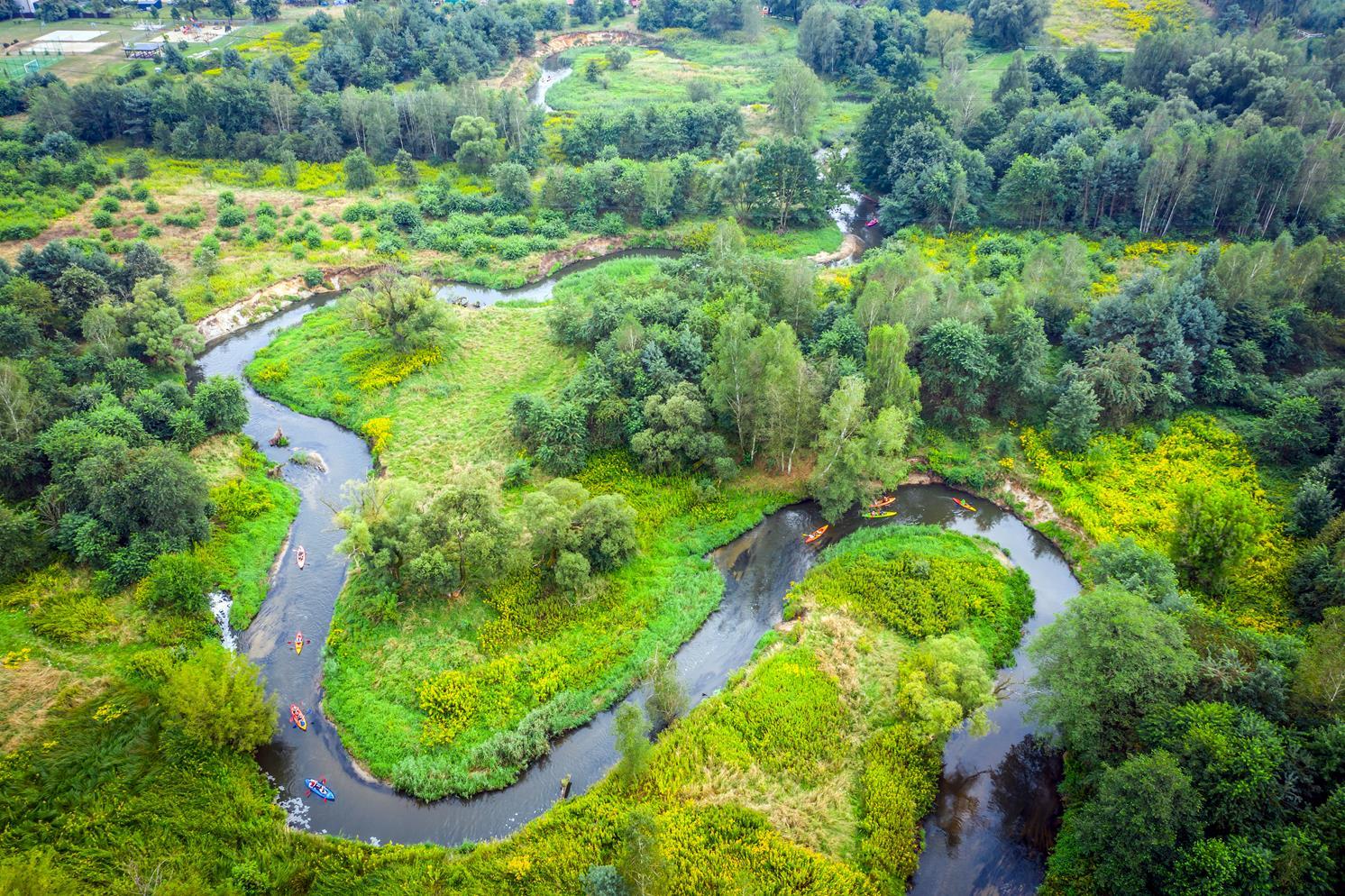 Spływ kajakowy rzeką Rudą fot Kraina Górnej Odry M Giba 2