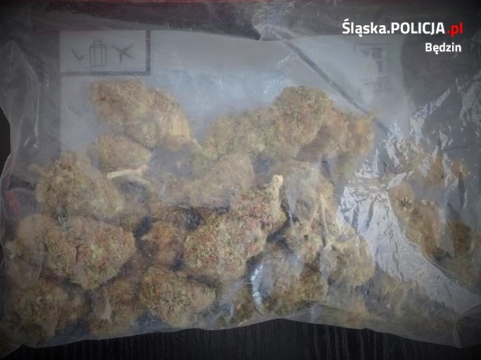 W ręce kryminalnych trafiła amfetamina oraz marihuana